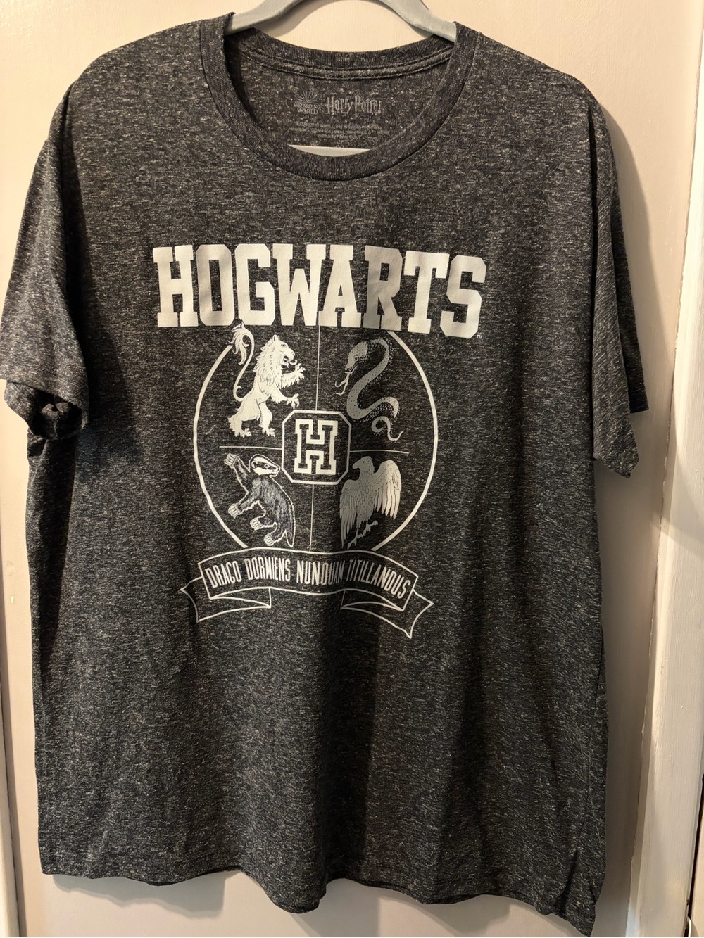 Warner Bros. Black & Faded White Harry Potter Logo Tee